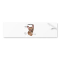 Chihuahua (smooth) History Design