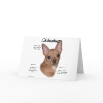 Chihuahua (smooth) History Design