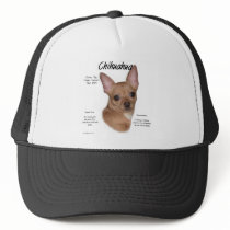 Chihuahua (smooth) History Design
