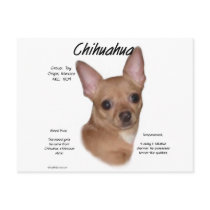 Chihuahua (smooth) History Design