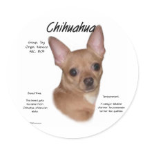 Chihuahua (smooth) History Design