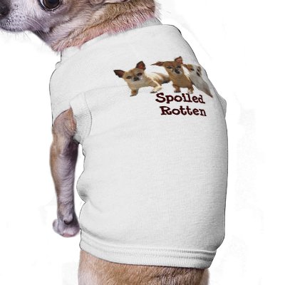Chihuahua Spoiled Rotten Dog T-Shirt by normagolden