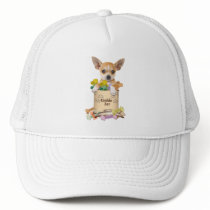 Chihuahua Takes Over The Cookie Jar