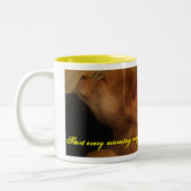 Chihuahua tasse