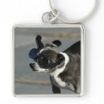 Chihuahua with goggles keychains