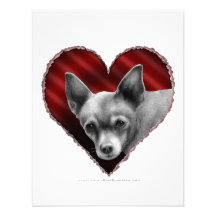 Chihuahua with Heart Invitations