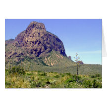 Chihuahuan Desert scene 01 Card