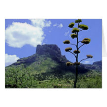 Chihuahuan Desert scene 02 Greeting Card