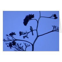 Chihuahuan Desert scene 04 Card