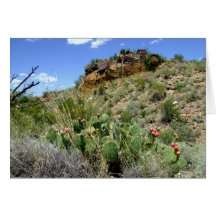 Chihuahuan Desert scene 05 Card