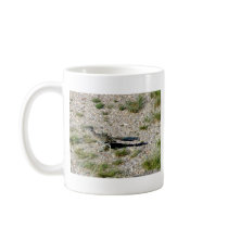 Chihuahuan Desert scene 09 road runner Coffee Mugs