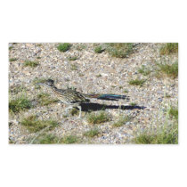 Chihuahuan Desert scene 09 road runner Rectangular Stickers
