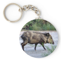 Chihuahuan Desert scene 10 javelina Keychain