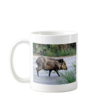 Chihuahuan Desert scene 10 javelina Mug
