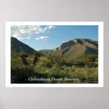 Chihuahuan Desert Summer Poster