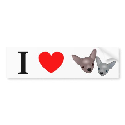 Chihuahuas Bumper Stickers by A_Plus_Products