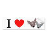 Chihuahuas bumper stickers