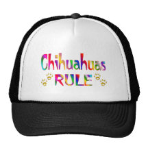 Chihuahuas Rule Hat