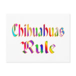 CHIHUAHUAS RULE POST CARD