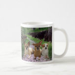 Chihuahuas Trio Mug