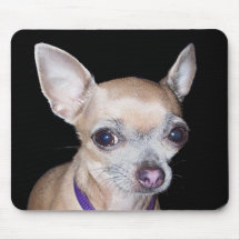 Chihuhahua Looking At You Mousepad
