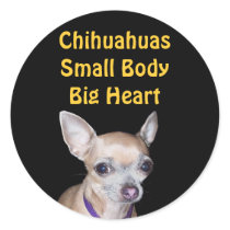 Chihuhahua Looking At You Round Sticker