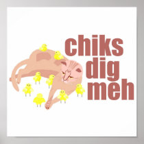 chiks dig meh poster