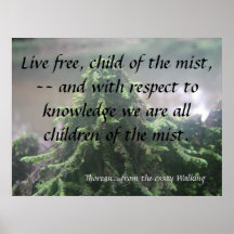 Child of the Mist Poster