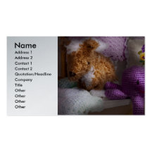Child - Toy - Octopus in my closet Business Card Templates