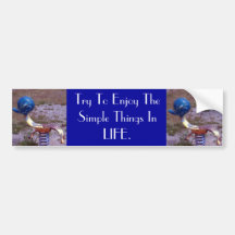 Childhood Memories Collection Bumper Sticker