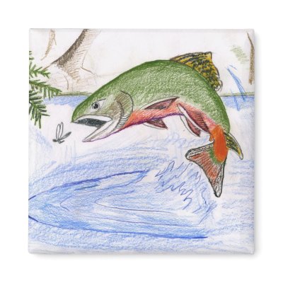 Children's Winning Artwork: brook trout Fridge Magnet by pwuebker