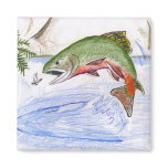 Children's Winning Artwork: brook trout magnets