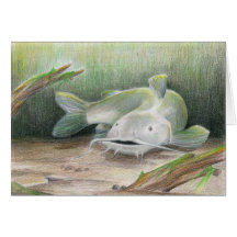 Children's Winning Artwork: channel catfish Greeting Card