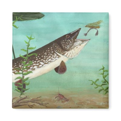 Children's Winning Artwork: northern pike Refrigerator Magnet by pwuebker