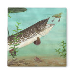 Children's Winning Artwork: northern pike magnets