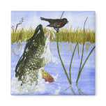 Children's Winning Artwork: northern pike Magnets