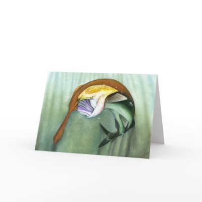 Children's Winning Artwork: paddlefish Cards by pwuebker