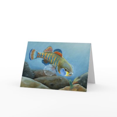 Children's Winning Artwork: rainbow darter Greeting Card by pwuebker