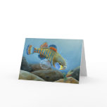 Children's Winning Artwork: rainbow darter cards