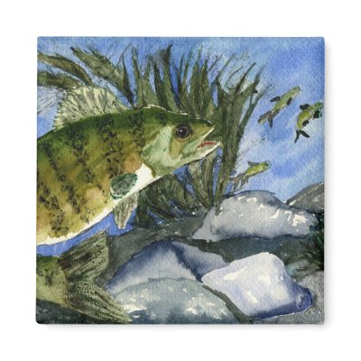 Children's Winning Artwork: walleye Magnets by pwuebker