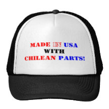 CHILEAN PARTS MESH HAT