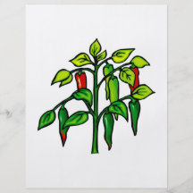 Chili Plant Many Peppers Graphic Flyer Design