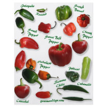 Chili Varieties