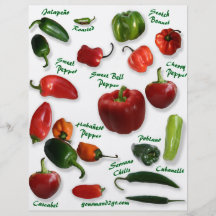 Chili Varieties Full Colour Flyer