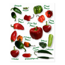 Chili Varieties Postcards
