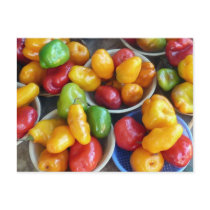 CHILIES POSTCARD