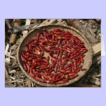 chilli basket cards