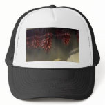 chilli-ristas mesh hat