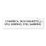 CHIMERICA: BUSH BANKSTERSSTILL LURKING, STILL S... BUMPER STICKER