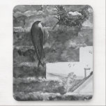 Chimney Swift and Nest mousepads